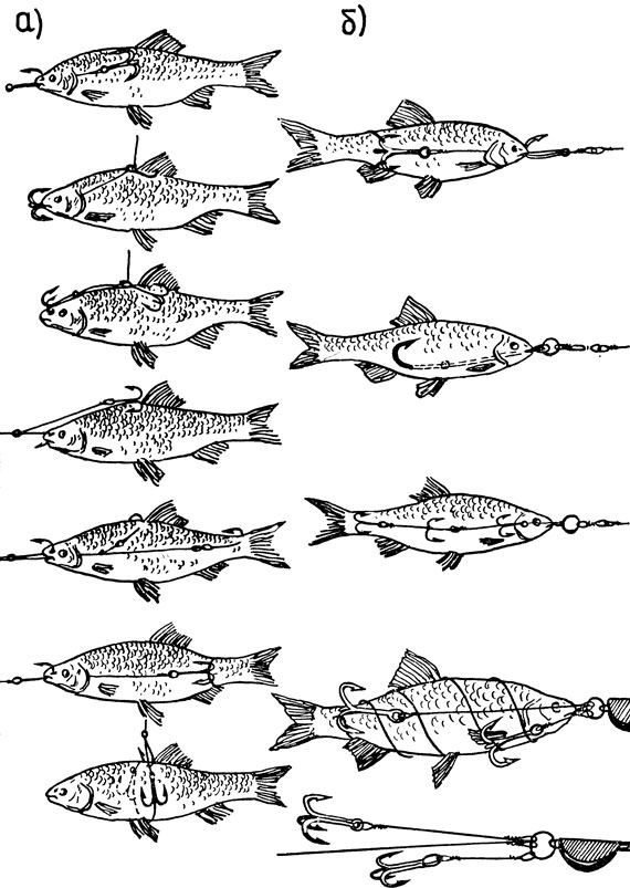 Рис. 24: а - приспособления для извлечения крючка из пасти рыбы: 1 - зевник, 2 - экстрактор (вилочка), б - плетеный садок для рыбы; в - кукан: 1 - из прочного шнура, 2 - складной из металлических прутков